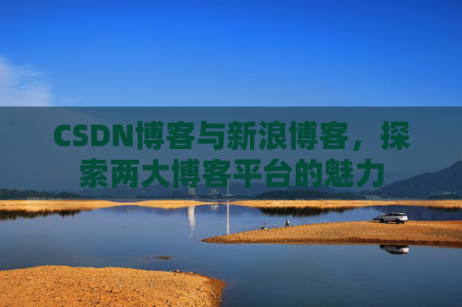 CSDN博客与新浪博客，探索两大博客平台的魅力